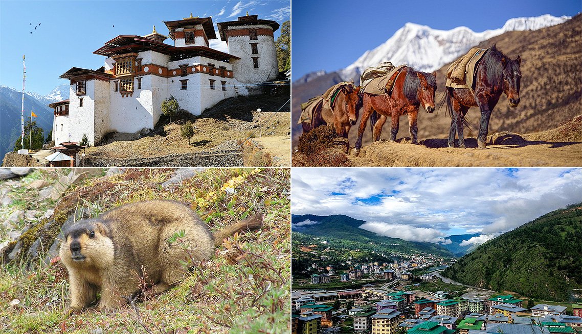 Bhutan Tours & Trip_Curating Experiences