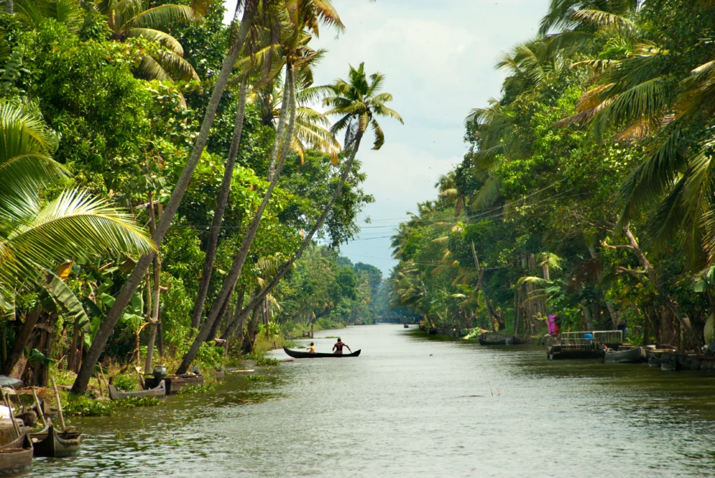 Kerala _Indian Trip & Tour By Curating Experiences