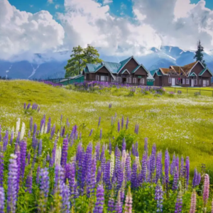 Gulmarg