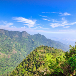 The Dolphin's Nose